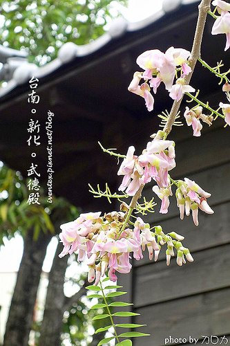 00_台南新化武德殿