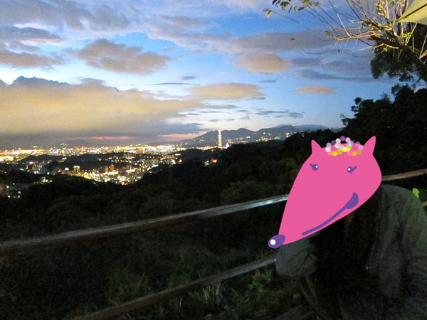 貓空閒cafe：(台北)貓空上不喝茶也有夜景一覽無遺-貓空閒