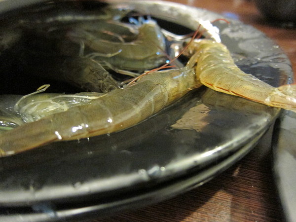 饗麻饗辣頂級鴛鴦火鍋(總店):((嘉義))饗麻饗辣鴛鴦火鍋吃飽~328就有活蝦吃到飽!!