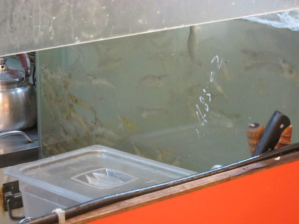 饗麻饗辣頂級鴛鴦火鍋(總店):((嘉義))饗麻饗辣鴛鴦火鍋吃飽~328就有活蝦吃到飽!!