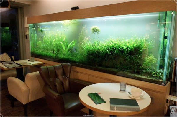 愛趣饗樂咖啡：[捷運劍潭站]台北愛趣饗樂咖啡店~坐擁世界吃高CP值雙人餐