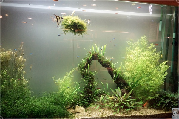 愛趣饗樂咖啡：[捷運劍潭站]台北愛趣饗樂咖啡店~坐擁世界吃高CP值雙人餐