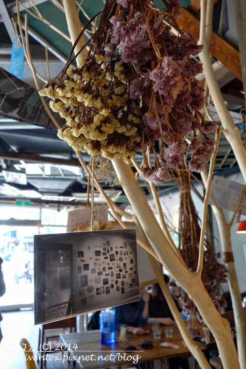 45刀口力台北捷運圓山站樹樂集Treellage