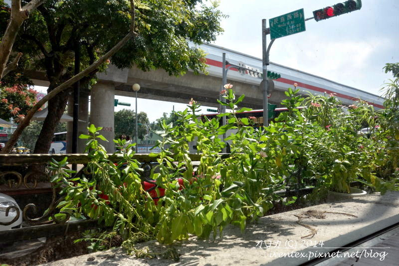 41刀口力台北捷運圓山站樹樂集Treellage