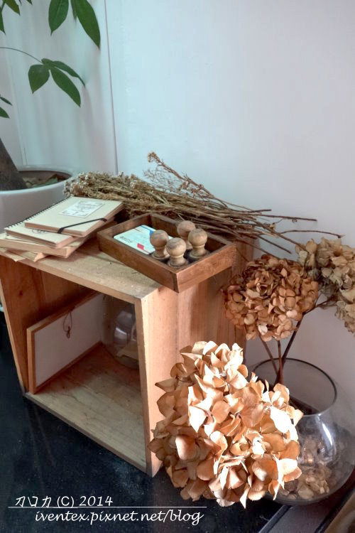 43刀口力台北捷運圓山站樹樂集Treellage