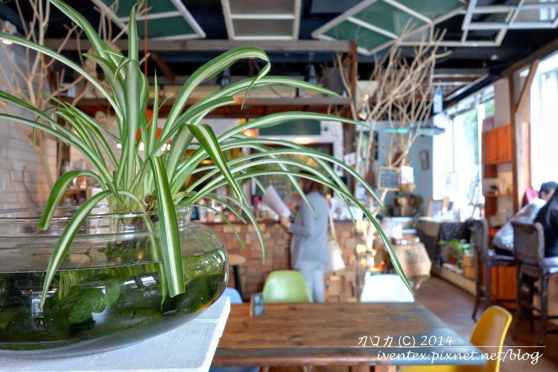 13-1刀口力台北捷運圓山站樹樂集Treellage