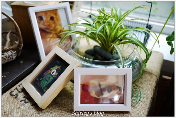 樹樂集:樹樂集 Treellage Life Cafe