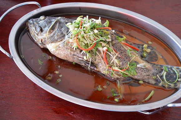 蘆花雞料理餐廳38