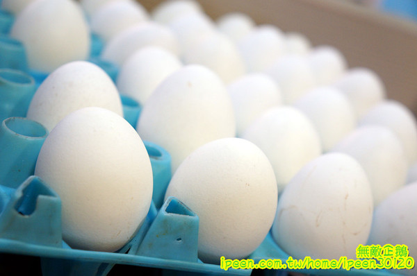 饗宴麻辣火鍋：【台南-東區】吃到飽x新鮮海產...只要$359+10％服務費~明治冰淇淋/豆花/魚冊《饗宴麻辣火鍋》