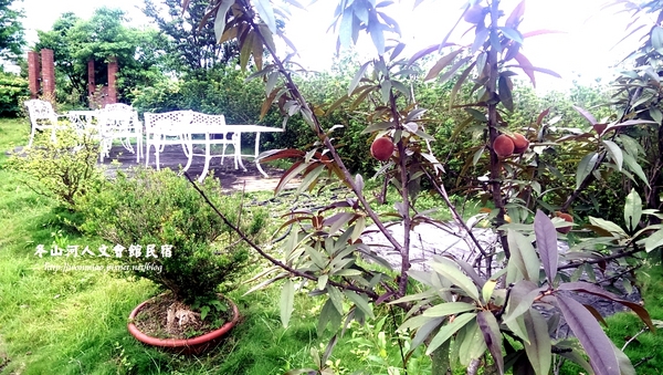 冬山河人文會館:【宜蘭冬山河/住宿推薦】古董傢俱古色古香,幽雅閑靜渡假好地方 ✿✿ 冬山河人文會館民宿 ✿✿ (附早餐, 停車場)