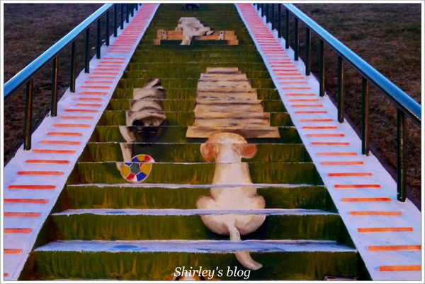蘆洲環河大道(永樂街口)彩繪狗階梯：蘆洲‧環堤大道寵物彩繪階梯