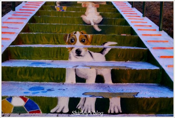 蘆洲環河大道(永樂街口)彩繪狗階梯：蘆洲‧環堤大道寵物彩繪階梯