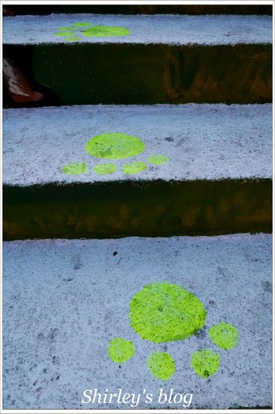 蘆洲環河大道(永樂街口)彩繪狗階梯：蘆洲‧環堤大道寵物彩繪階梯