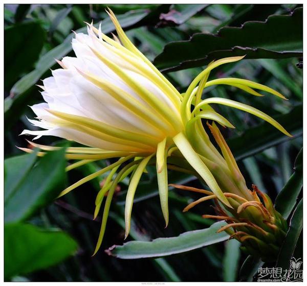 亨運香港茶餐廳:【高雄】食神也發飆.亨運香港茶餐廳.桑尼瘦不了