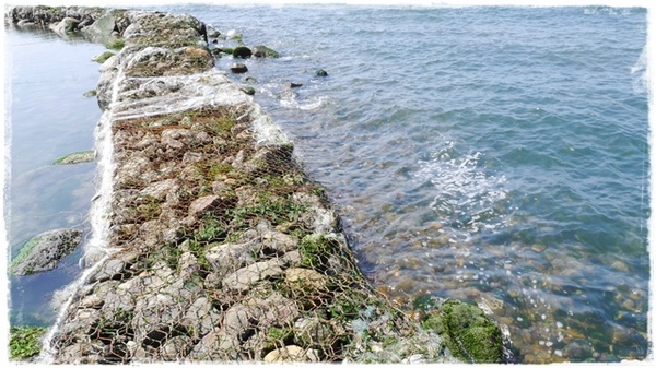 淡水石滬心:【新北◍•ᴗ•◍淡水】景點・淡水石滬心✯秘境私房景點|台北也有心形石滬-淡水沙崙心型石滬