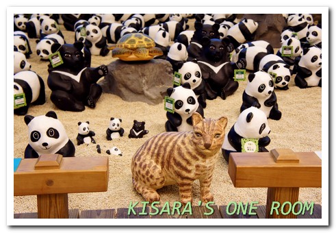 Let's SOGO! 黑白雙熊公益認養特展(台北SOGO場)：日式庭園裡的胖達大軍──1600貓熊世界之旅@SOGO