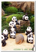 Let's SOGO! 黑白雙熊公益認養特展(台北SOGO場)：日式庭園裡的胖達大軍──1600貓熊世界之旅@SOGO