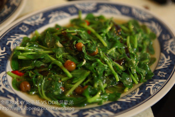 開心的小寶寶-15