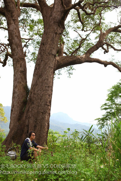 開心的小寶寶-1-50