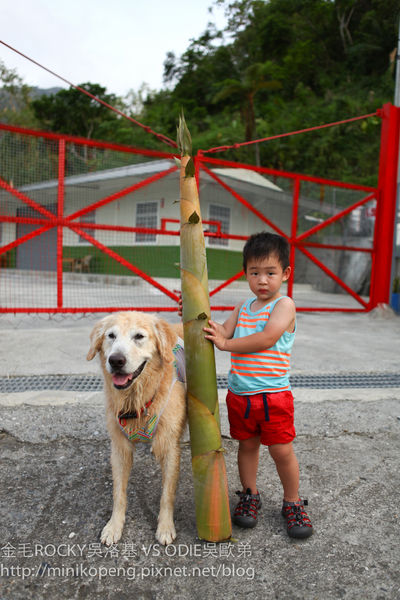 開心的小寶寶-1-71