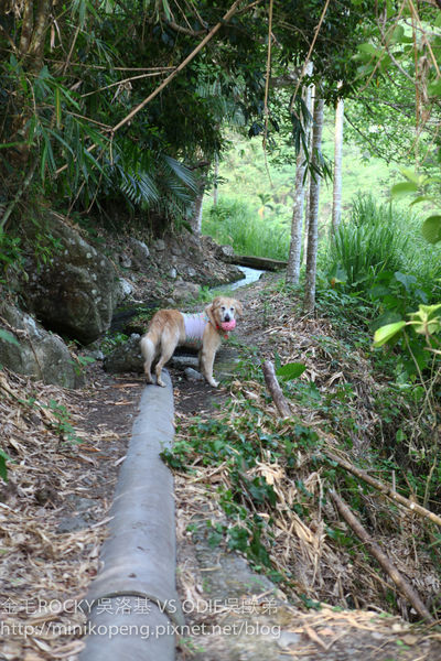 開心的小寶寶-1-69