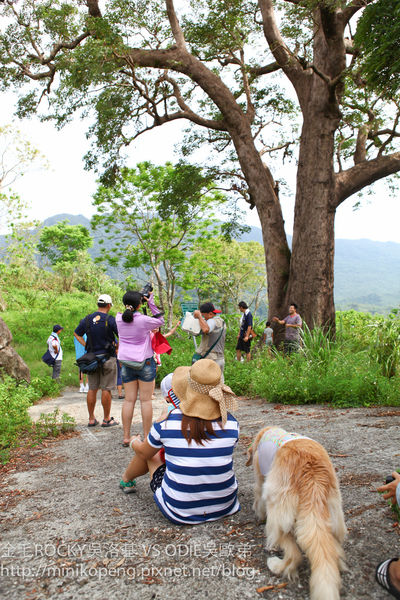 開心的小寶寶-1-49