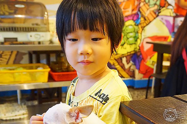 泰小葉泰國米粉湯專賣店:※ 泰小葉泰國米粉湯專賣店 ※【星羽是吃貨-台中】一個因為喜歡成就的夢想,平價美味料多實在,特製醬料碰撞美妙新滋味~(文末有好康)