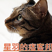 泰小葉泰國米粉湯專賣店:※ 泰小葉泰國米粉湯專賣店 ※【星羽是吃貨-台中】一個因為喜歡成就的夢想,平價美味料多實在,特製醬料碰撞美妙新滋味~(文末有好康)