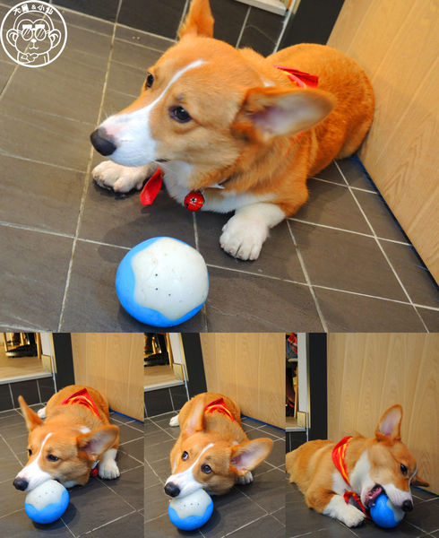 Tutti Cafe圖比咖啡創意早午餐(敦北):呷飽祙【台北松山・Tutti Café(敦北店)】副店長是大明星