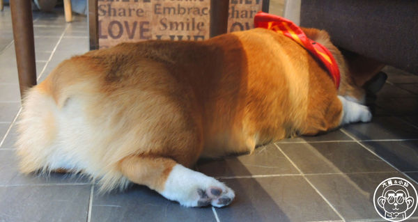 Tutti Cafe圖比咖啡創意早午餐(敦北):呷飽祙【台北松山・Tutti Café(敦北店)】副店長是大明星