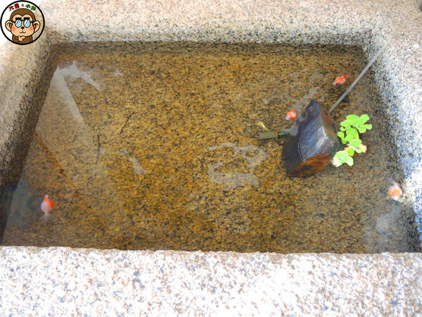 子村CHARM VILLA：哩哩摳摳【台北北投･子村CHARM VILLA 玫瑰蜜香中秋禮】魚是，美好發生了