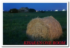 2014桃園地景藝術節:桃園地景藝術節賞月兔