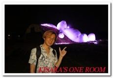 2014桃園地景藝術節:桃園地景藝術節賞月兔