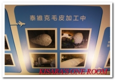 2014桃園地景藝術節:桃園地景藝術節賞月兔