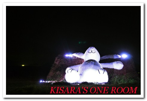 2014桃園地景藝術節:桃園地景藝術節賞月兔