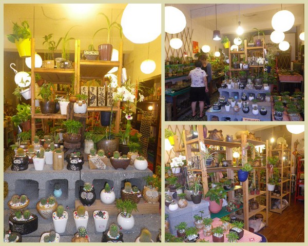 三峽老街：古樸˙歷史˙文化【三峽老街】展現風華