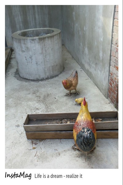 老街溪河川教育中心：【桃園景點】老溪街河川教育中心水管溜滑梯