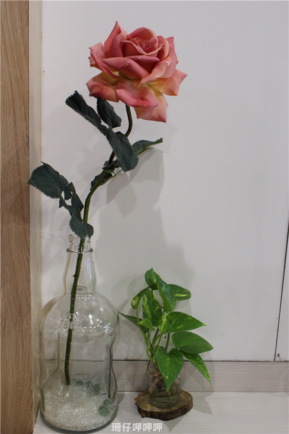 鐵人番町讚岐烏龍麵(逢甲創始店):鐵人番町讚岐烏龍麵(逢甲創始店)✪食材用心~美味~103.08.27