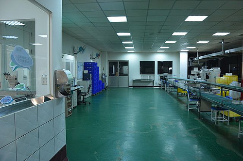 台灣優格餅乾學院39