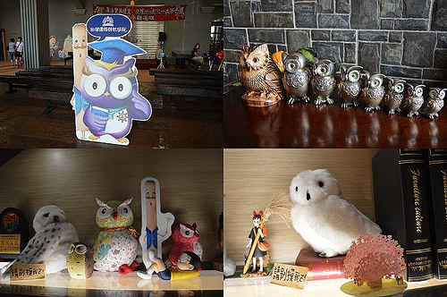 台灣優格餅乾學院64