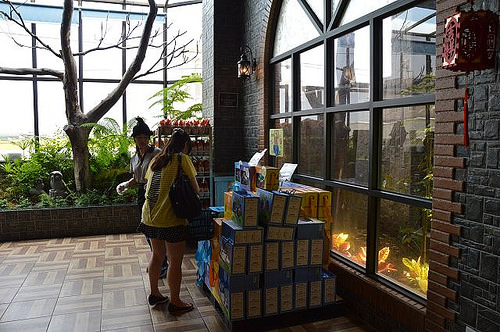 台灣優格餅乾學院58