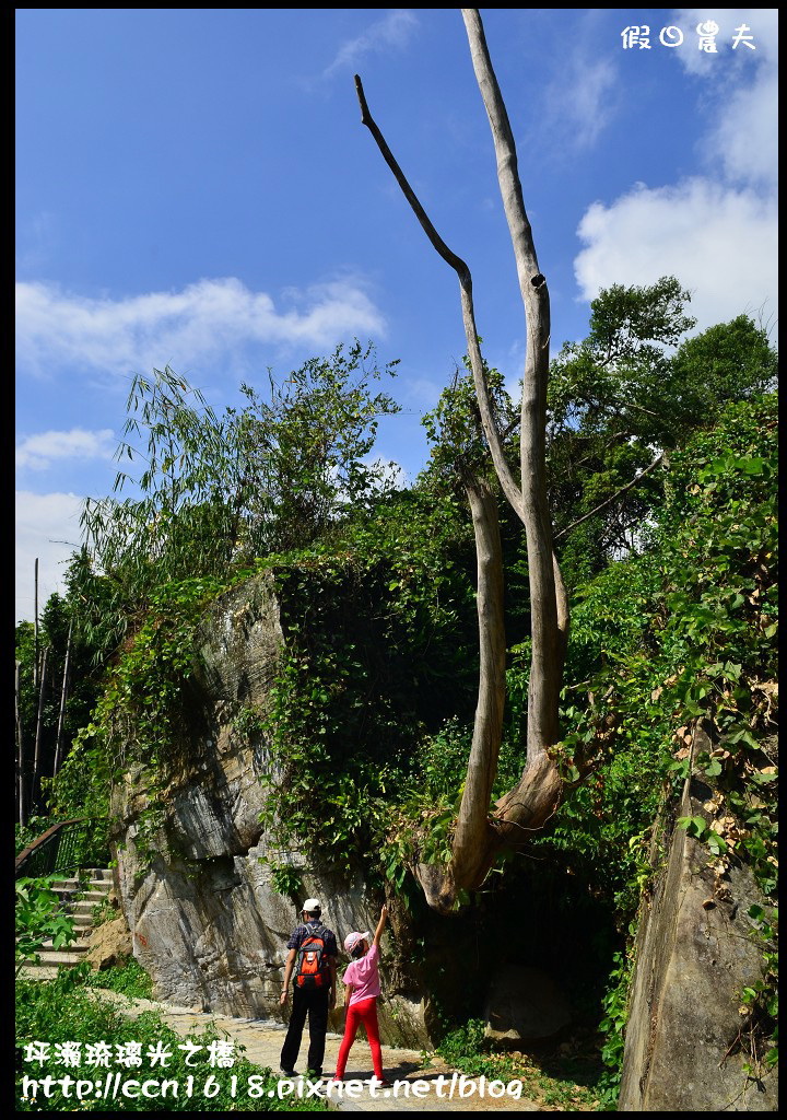 坪瀨琉璃光之橋DSC_8565