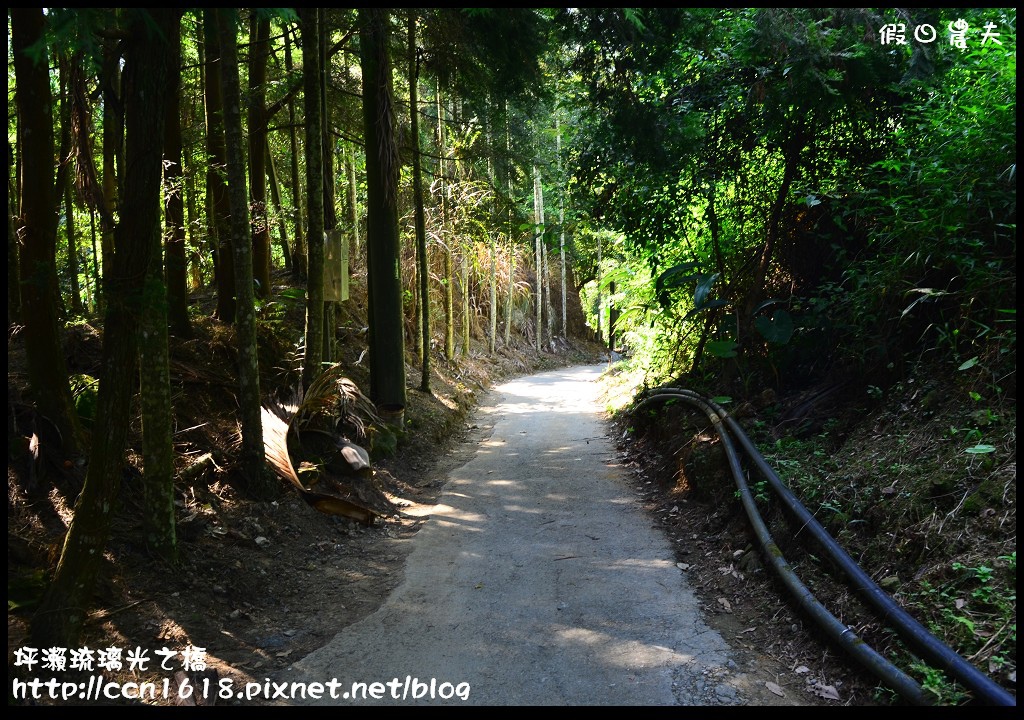 坪瀨琉璃光之橋DSC_8550