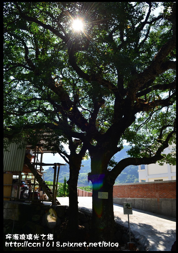 坪瀨琉璃光之橋DSC_8544