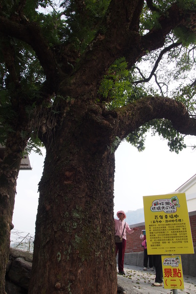 坪瀨琉璃光之橋：【南投】琉璃光之橋