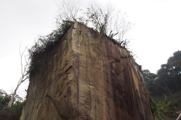 坪瀨琉璃光之橋：【南投】琉璃光之橋