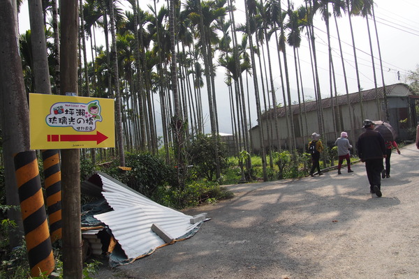 坪瀨琉璃光之橋：【南投】琉璃光之橋