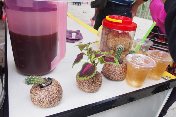 坪瀨琉璃光之橋：【南投】琉璃光之橋