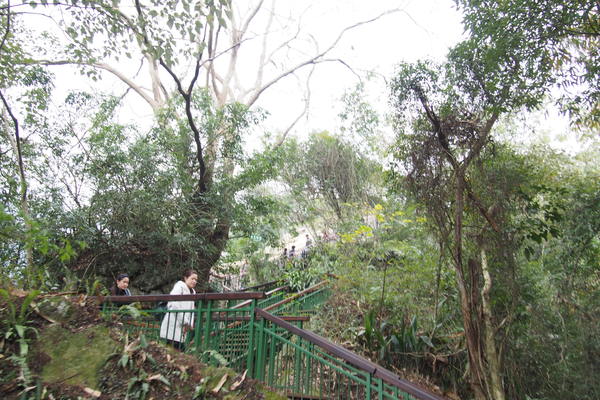 坪瀨琉璃光之橋：【南投】琉璃光之橋