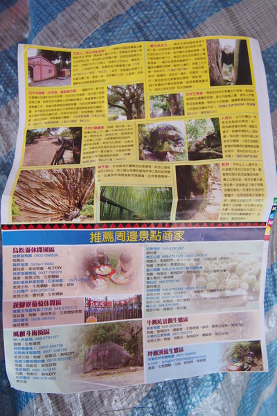 坪瀨琉璃光之橋：【南投】琉璃光之橋